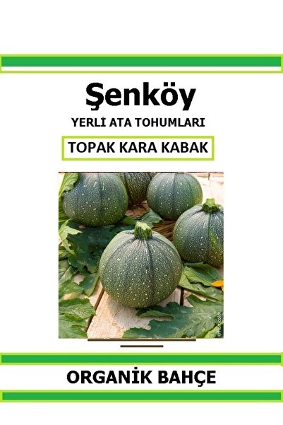 Şenköy Yerli Topak Kara Kabak Tohumu Doğal Ata Tohum Pakette 20 Tohum + Hediy...