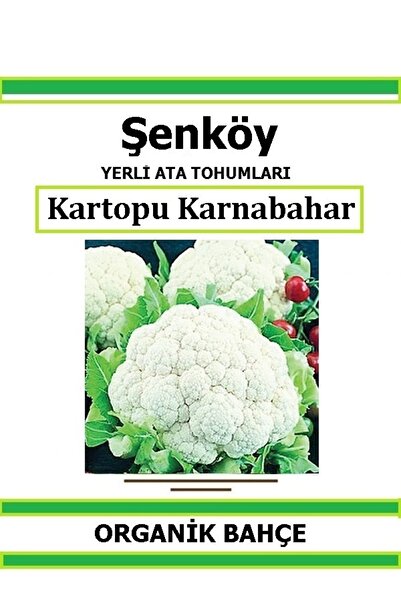 Şenköy Yerli Kartopu Karnabahar Tohumu Doğal Ata Tohum Pakette 30 Tohum + Hed...