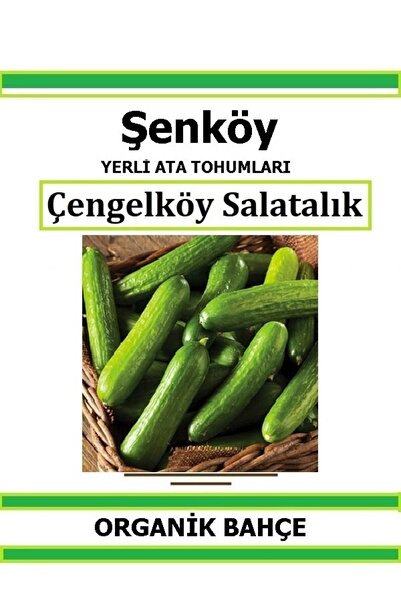 Şenköy Yerli Çengelköy Salatalık Tohumu Doğal Ata Tohum Pakette 20 Tohum + He...