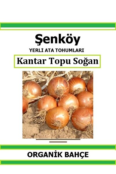 Şenköy Yerli Kışlık Kuru Soğan Tohumu Doğal Ata Tohum Pakette 5 gr 1250 Tohum...