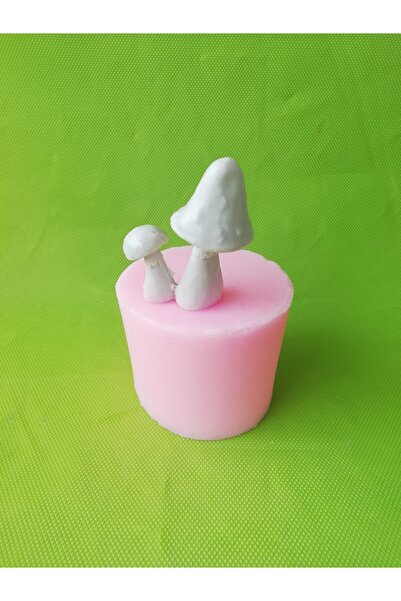 AnkaHobiMarket Ikili Mantar Silikon Kalıp .