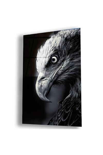 Zevahir Mobilya Dekorasyon Τραπέζι από άθραυστο γυαλί Eagle