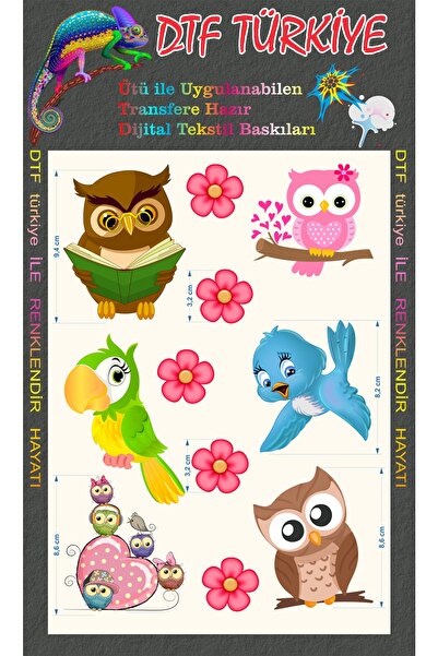 DTF BASKI Baykuş Arma Baskı-kuşlar Transfere Hazır Dtf Baskı-çiçek Tişört Baskı