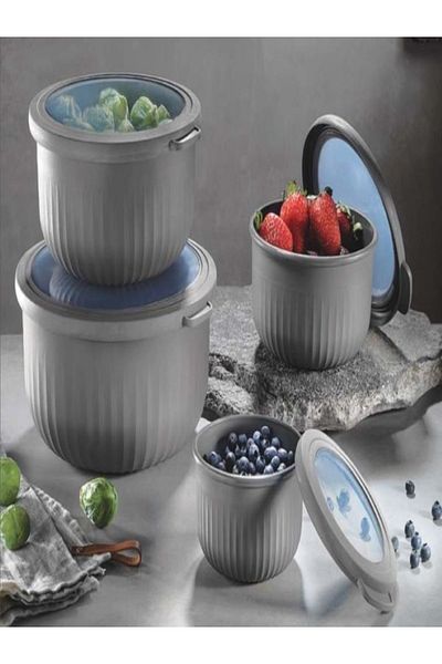 VİP AHMET 4-Piece Gray Vacuum Storage Container
