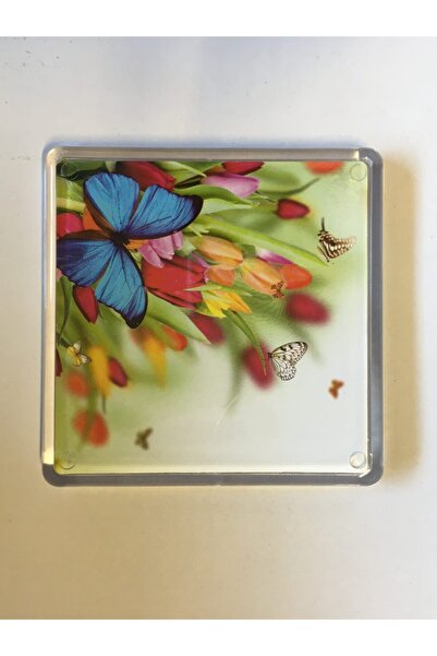 Işıklar 2 Pcs Butterfly Pattern Acrylic Bathroom Drain Cover
