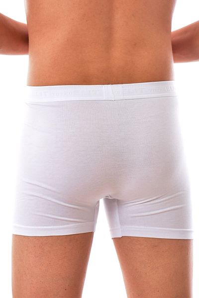 DERYA Elit 1251 Modal Elasthan Men's Boxer White