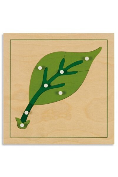 CS Joint Desing Montessori Yaprak Puzzle