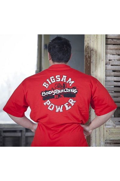 Big Sam Large Size Cotton T-Shirt 3118