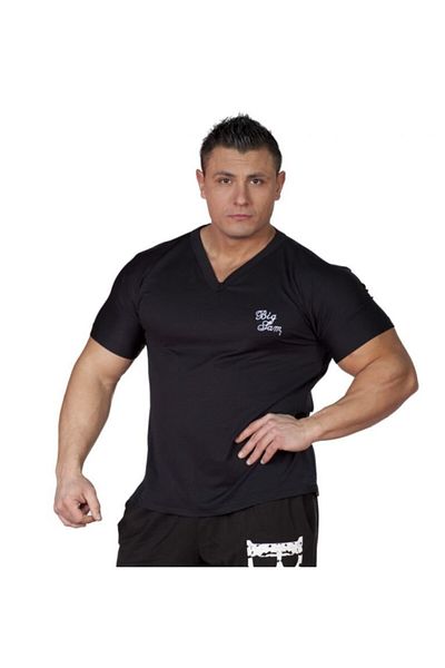 Big Sam V-Neck Slim Fit T-Shirt 2617