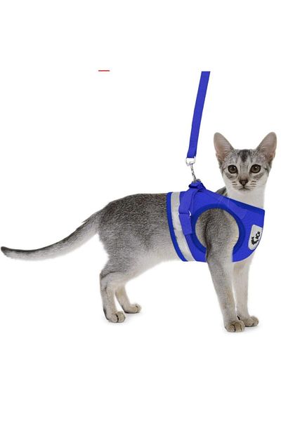 kedi kiyafetleri fiyatlari ve modelleri trendyol