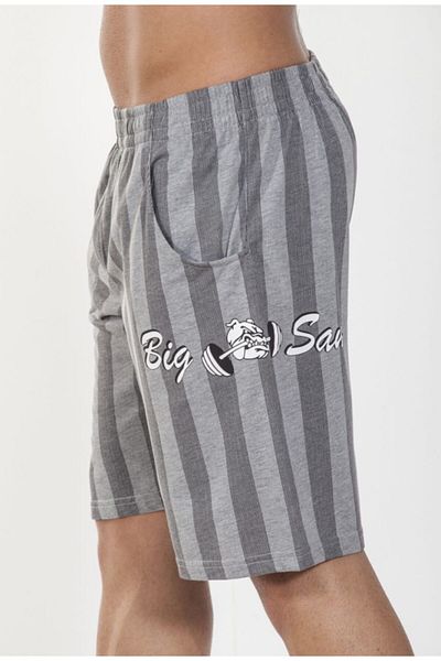 Big Sam Gray Striped Shorts 1437