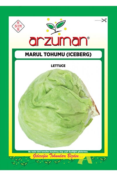 Arzuman Tohum Arzuman Marul Tohumu Iceberg Top Marul