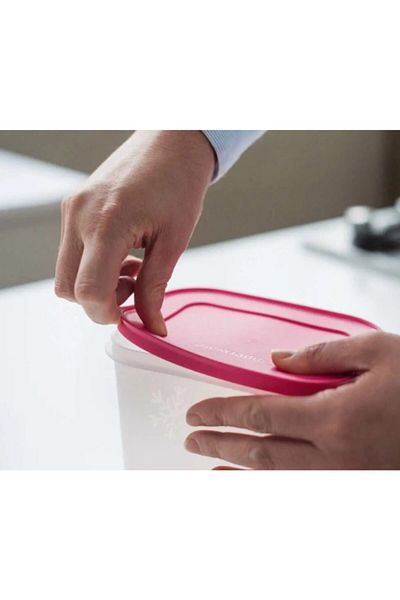 Tupperware 1 Alaska Storage Container
