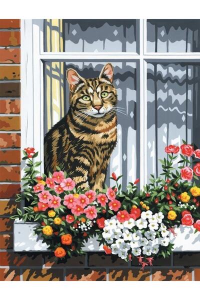 Genel Markalar Camdaki Kedi Sticker(çerçeveli) 40x50 Sayılarla Boyama Hobi Seti
