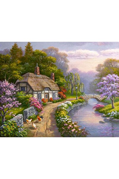 Hobi Tedarik Köy Evi 2 Çerçeveli 90x110 Sayılarla Boyama Hobi Seti