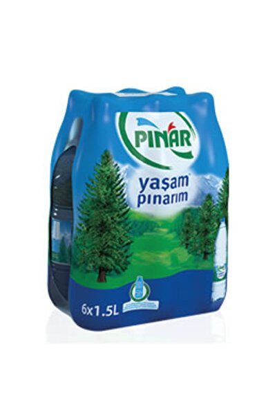 Pınar Doğal Kaynak Suyu 1,5 Lt 12'li Paket Su