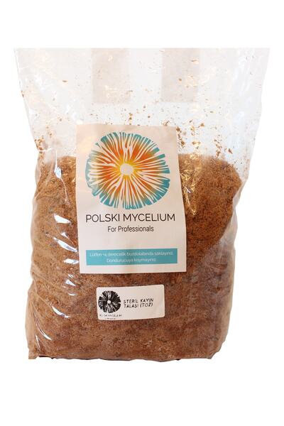 Polski Mycelium Steril Kayın Talaşı 1 kg Özel Türlerin Ekimi Için Reishi Asla...