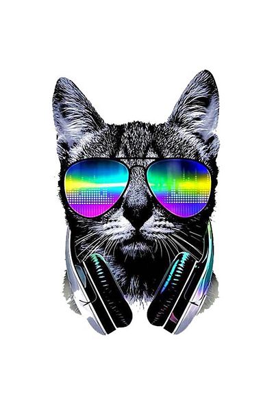 MegaSticker Cool Cat 15x10 Cm Cască Motocicletă Laptop și Autocolant Auto