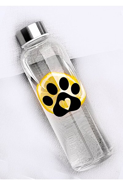 Ayzi Tasarım Kedi Patisi Ayak Izi Suluk Matara Cam Su Şişesi 500 Ml Kılıf Hed...
