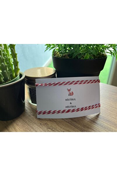 Nistibul & Mistibul للجنسين Ip 2-Pack Macrame سوار محظوظ مفصل