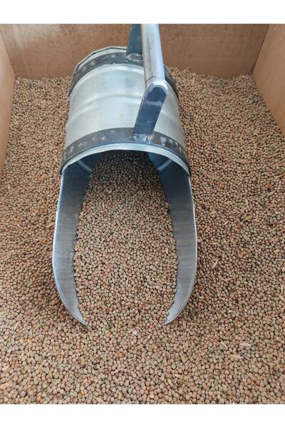 Nazilli Aşan Tarım Burçak Tohumu Güvercin Kuş Yemi 1 Kg