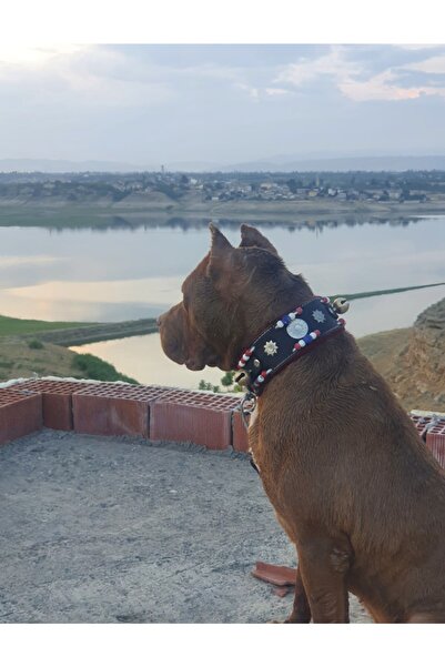 Sürmeli Tasma Ufak Deri Köpek Tasması 2 Zilli 60 Cm