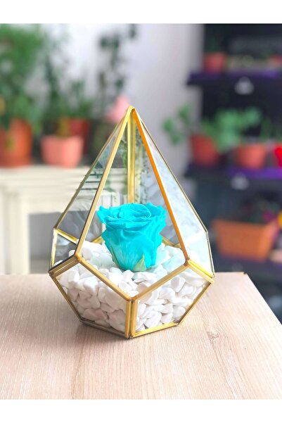 vitrayverteks Solmayan Gül Su Yeşili Ve Pirinç Dekoratif Cam Fanus