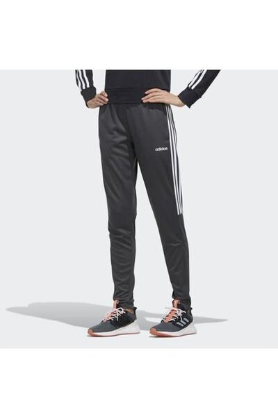 adidas W Sere19 Trg Pt Sports Sweatpants Fm0920