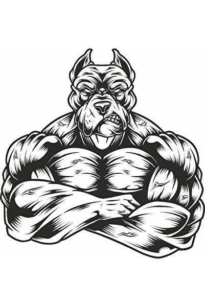 MegaSticker ملصق Wolfman مقاس 16x15 سم لخوذة الدراجة النارية والكمبيوتر المحم...