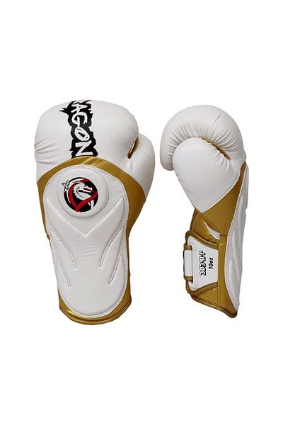 Dragondo Kick Boxing Gloves