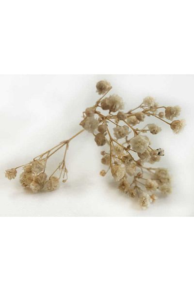 Acar Süs Flower Natural Cipso Natural Color (50 γραμμάρια) Pk:1 Ματσάκι