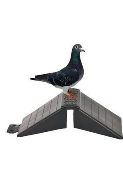 Güvercin Plastic Plastic Perches 10 Pieces