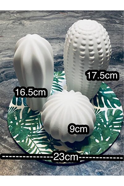 AlohamoraShop 3 Adet Taş Tozu Ham Obje Dekoratif Kaktüs Ve Tabanlık