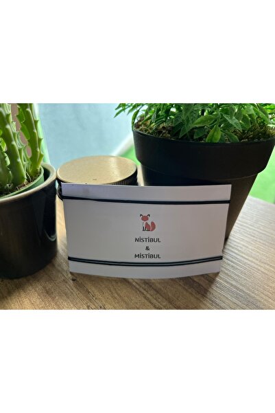 Nistibul & Mistibul للجنسين Ip 2-Pack Macrame سوار محظوظ مفصل