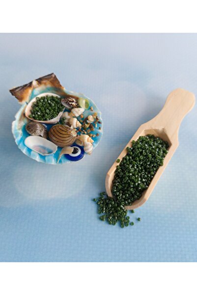 Bonanka خرز ميوكي ديليكا الأصلي 11/0 - Db0663 - الرقم: 160 (2 جرام)