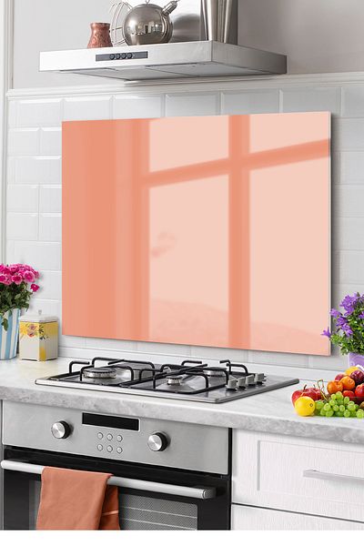 Olinpa Premium Kitchen - Glass, Stove, Back Protective Countertop, Built-In |   Salmon