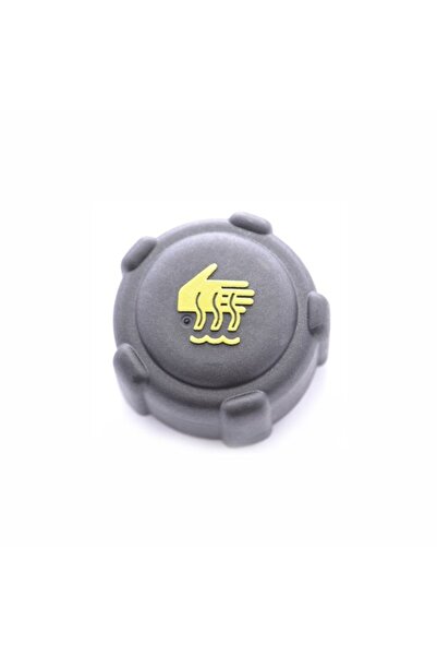 OEM Renault-fluence-radyator-ek-depo-kapagı-orjınal-8200048024