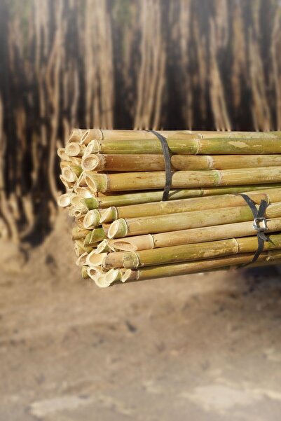 ötay Kargı (240 CM) – 25 Adet Bitki Destek Çubuğu 25 Adet