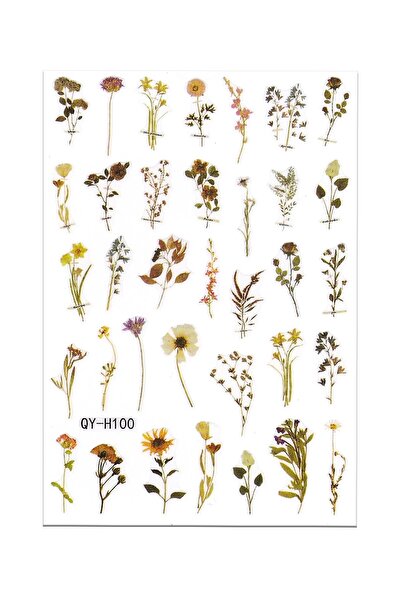 BP Tattoo Kır Çiçekleri Renkli Tırnak Sticker