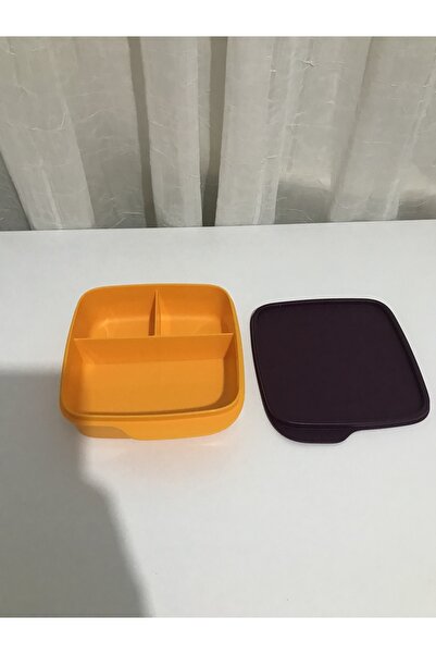 Tupperware تغذية مقسمة