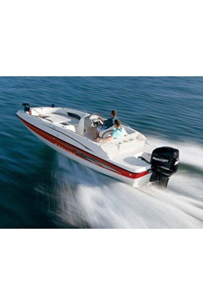 SHELL Nautilus 2t - 1 Litre Su Ve Deniz Motorları Için Özel