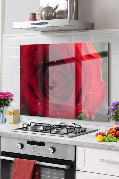 Olinpa Premium Kitchen Glass Stove Back Protector Countertop Built-In Back Protector 52X60Cm |   Flower Rose Red