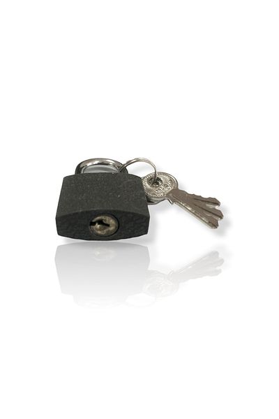 Tek-İş Padlock Gray Casting 30mm