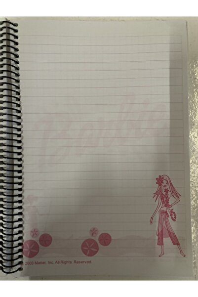 AYKUT A5 Spiralli Karton Kapak 100 Yaprak Çizgili Defter Içi Renkli