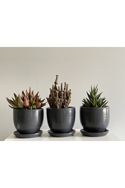 odka 3'lü Mini Saksı Seti 10cmx12cm Antrasit Renk
