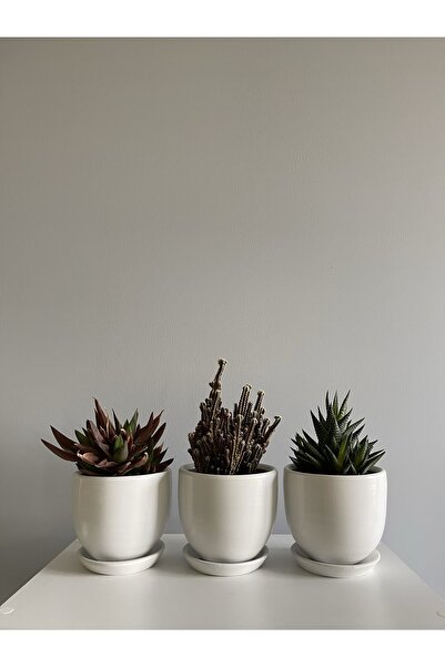 odka 3'lü Mini Saksı Seti 10cmx12cm Beyaz Renk