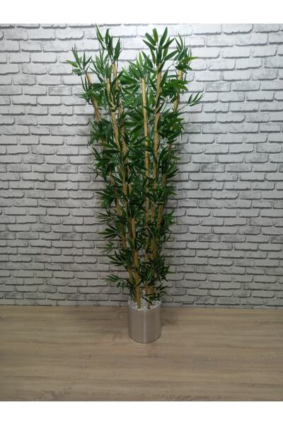 ERHAN FLOWERS Şık Metal Saksıda 180 Cm 6 Dal Bambu