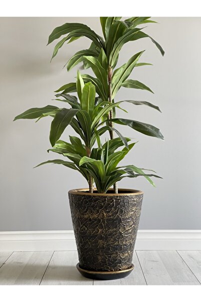 odka 20litre Uzun Konik Saksı Tabaklı Yükseklik:30cm Çap:28cm Siyah-gold Renk