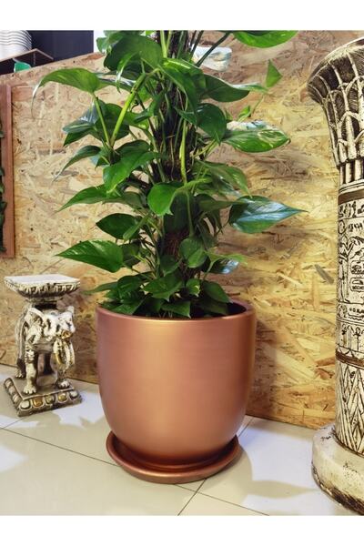 Balcony Flower Exclusive 40 Cm Salon Saksı