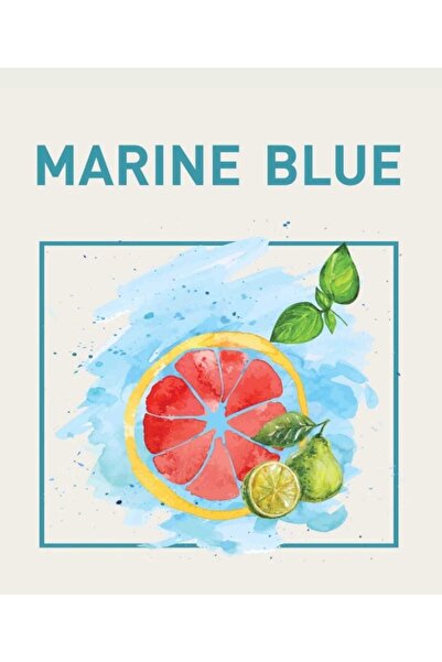 SCENTO Ortam Kokusu/marıne Blue 220 Ml